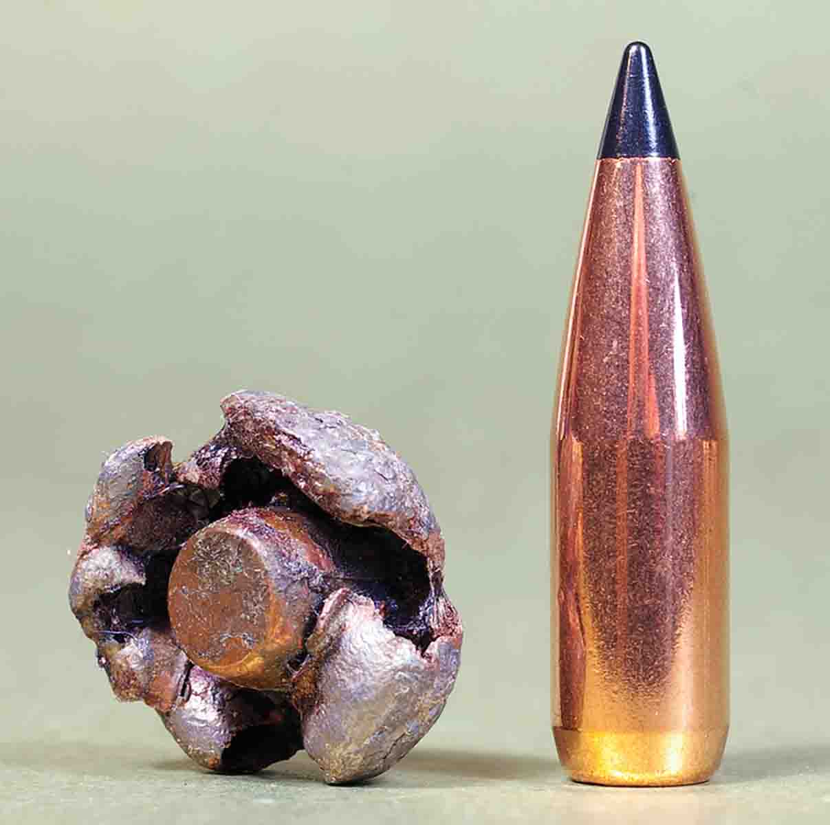 This 150-grain Scirocco fired from a .30-06 was retrieved from an elk. The bullet held onto 135 grains of its original weight.
